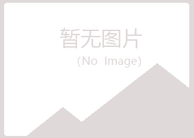 偃师傲蕾能源有限公司